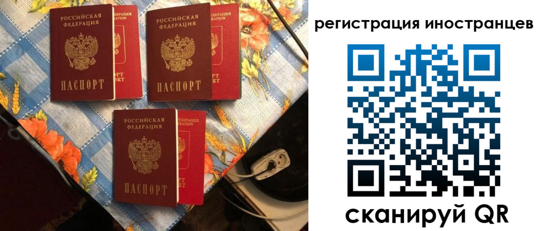 прописка поиск в Алейске
